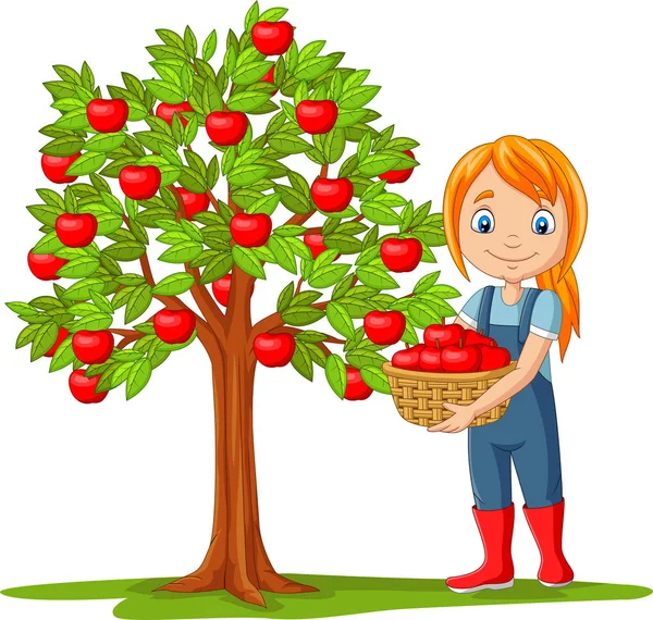 Illustration Vectorielle Une Agricultrice Cueillant Des Pommes Dans Panier — Image vectorielle