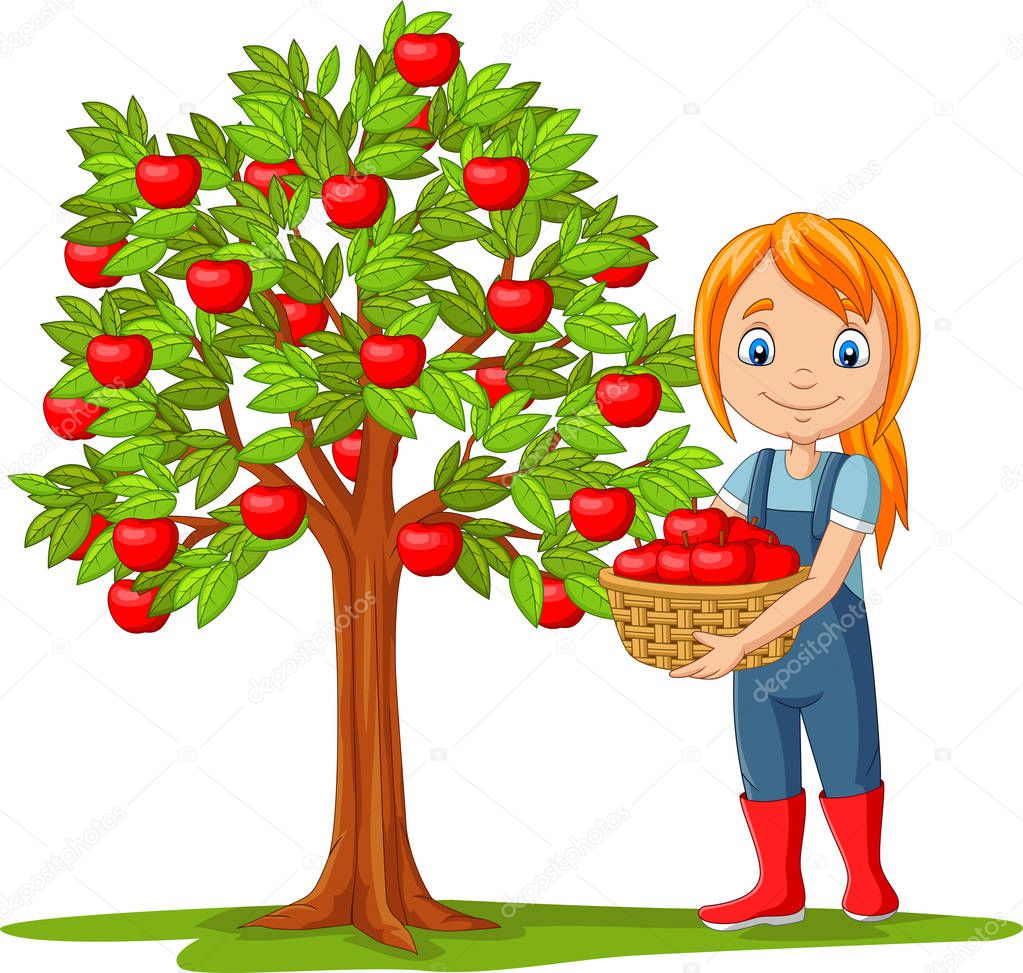 Vector illustration of Girl farmer gathering apples in basket