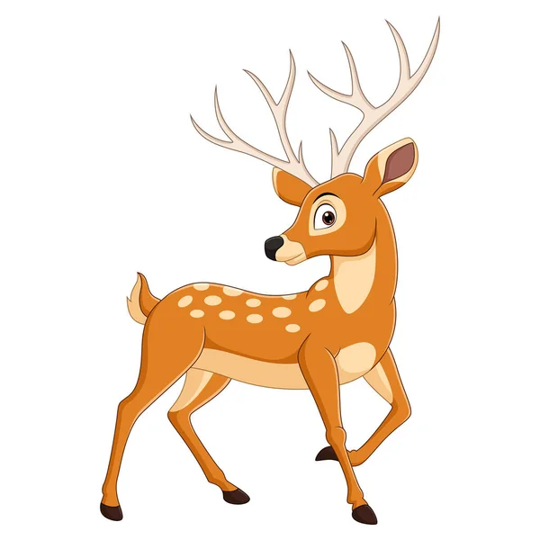 Vector Illustration Cartoon Deer Isolated White Background — Stock Vector