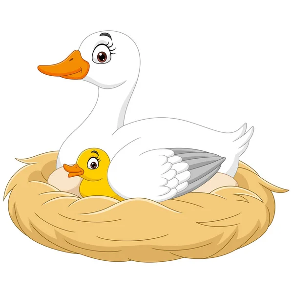 Vector Illustration Cartoon Mother Duck Her Baby Nest — Stock Vector