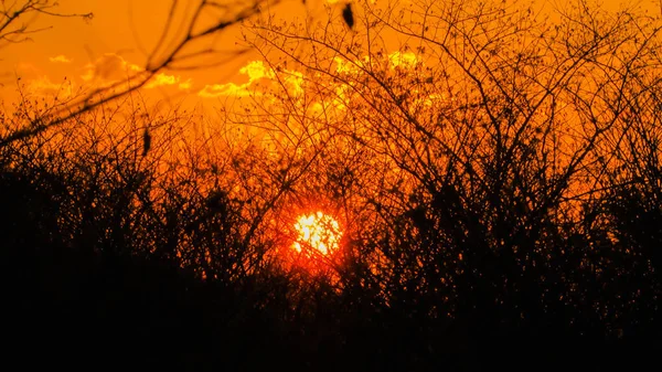 Sunset Beautiful Sky Orange Golden Clouds Creating Beautiful Misteiroso Scenery — Stock Photo, Image