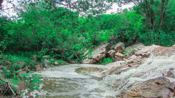 Hermoso paisaje del noreste brasileño, vemos wa simple —  Fotos de Stock