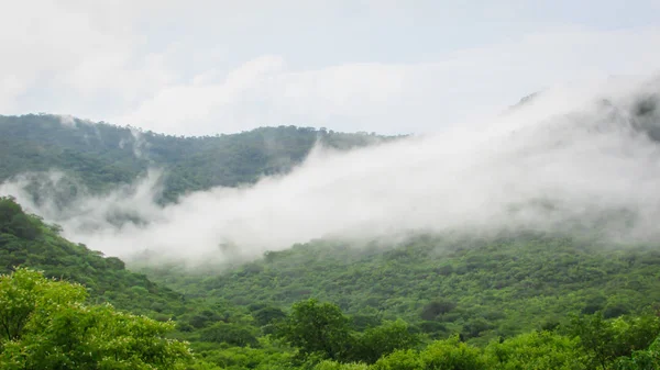 Paysage du Brésil, montagnes et cerrado avec des forêts vertes, o — Photo