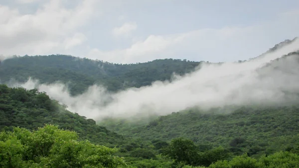 Paysage du Brésil, montagnes et cerrado avec des forêts vertes, o — Photo