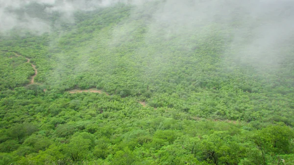 Paysage du Brésil, montagnes et cerrado avec des forêts vertes, o — Photo