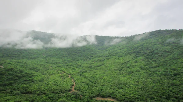 Paisagem do Brasil, montanhas e cerrado com florestas verdes, o — Fotografia de Stock