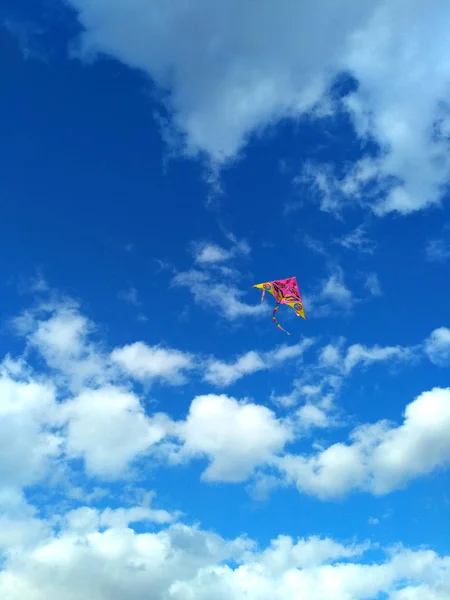 Cerf Volant Rose Jaune Avec Motif Aigle Une Queue Arc — Photo