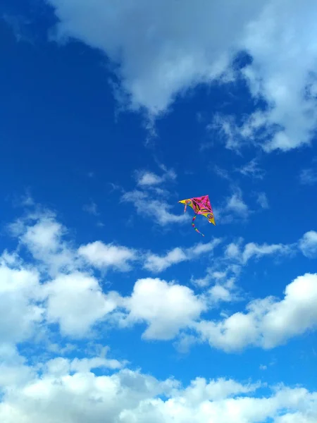 Cometa Rosa Amarilla Con Patrón Águila Una Cola Arco Iris — Foto de Stock