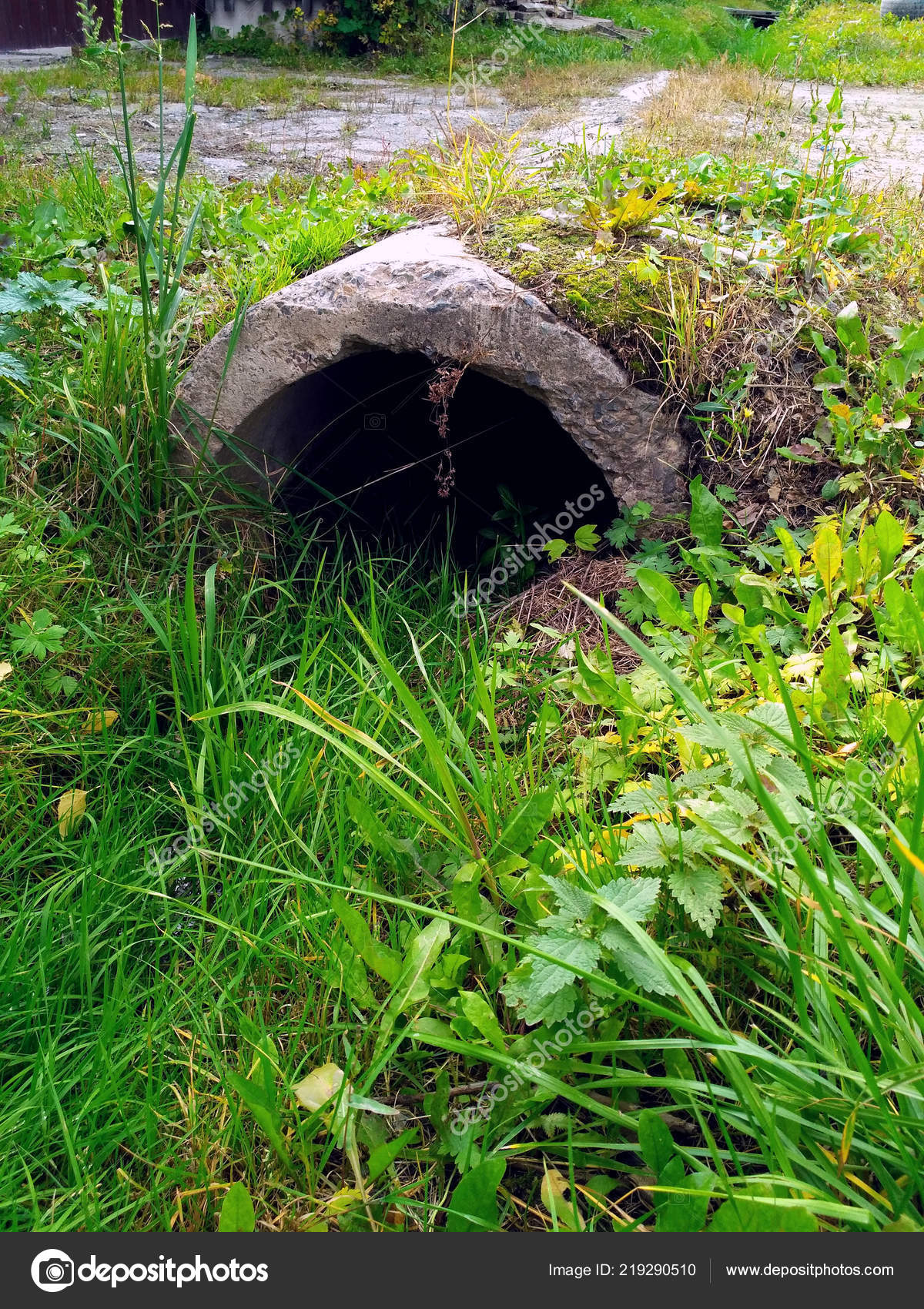 Pictures : drainage ditches | Drainage Ditch Pipe Dirt Road Grass — Stock Photo © Everpie #219290510