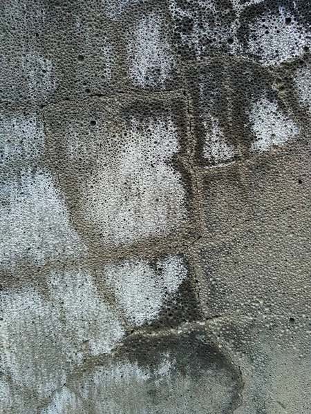 Aged concrete wall surface with mold stains and cracks