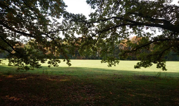 Automne Parc Treptower Dans Capitale Allemande — Photo