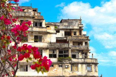 Doğa ve şehir - çok güzel bir kontrast