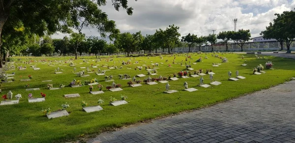 Cemitério, lápides e flores na grama — Fotografia de Stock