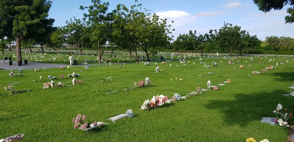Mezarlık, mezar taşları ve çimenlerde çiçekler