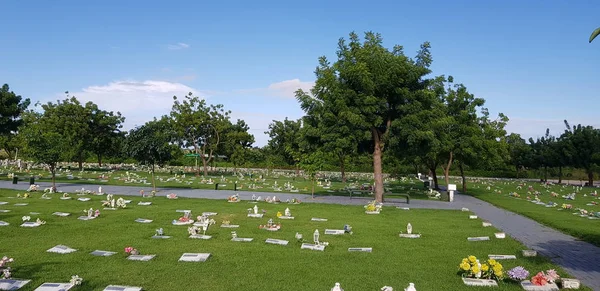 Mezarlık, mezar taşları ve çimenlerde çiçekler