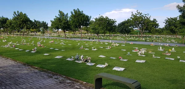 Mezarlık, mezar taşları ve çimenlerde çiçekler