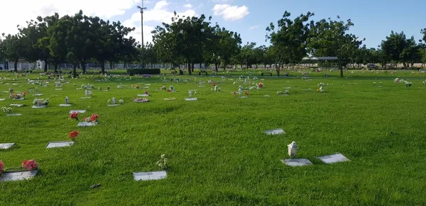 Friedhof, Grabsteine und Blumen im Gras — Stockfoto