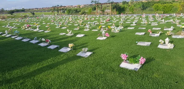 Mezarlık, mezar taşları ve çimenlerde çiçekler