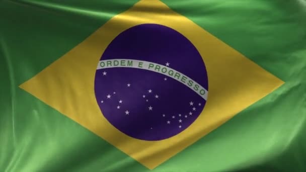 Σημαία Της Βραζιλίας Βρόχο — Αρχείο Βίντεο