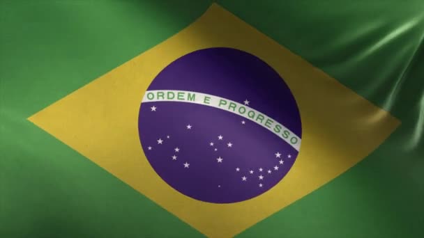 ブラジル ループの旗 — ストック動画