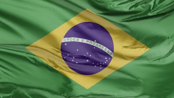 Flagge Von Brasilien — Stockvideo