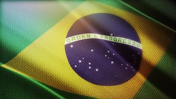 Flag Brazil Realistic — Stock video