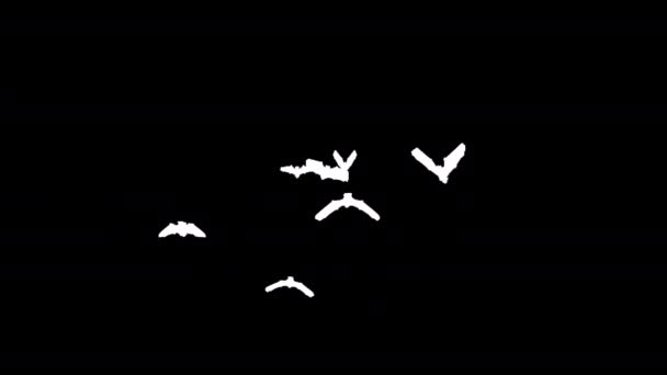 Enjambre Halloween Murciélagos Volando Alpha Channel — Vídeo de stock