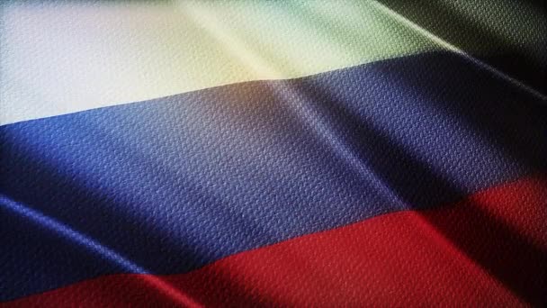 Державний Прапор Росії Реалістичний — стокове відео