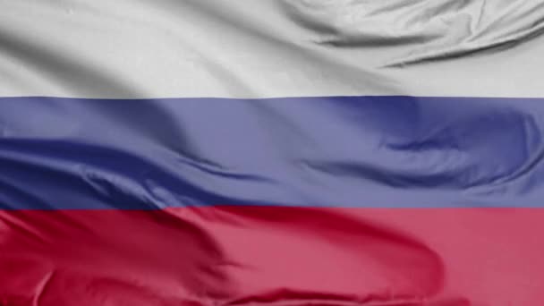 Rysslands Flagga Realistisk — Stockvideo