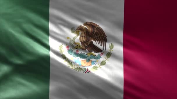 Vlajka Mexické Smyčky — Stock video