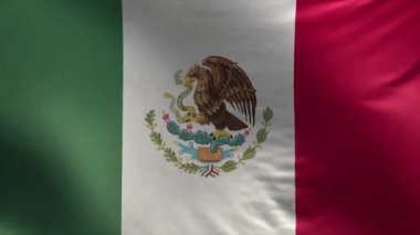  Meksika Bayrağı
