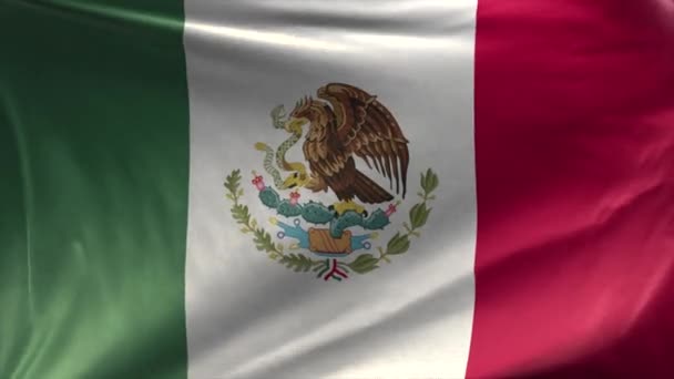 Флаг Мексики — стоковое видео