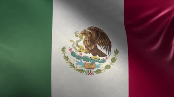 Vlag Van Mexico Loop — Stockvideo