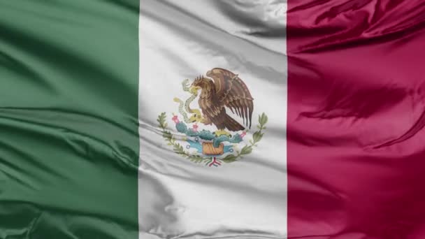 Bandeira México Realista — Vídeo de Stock