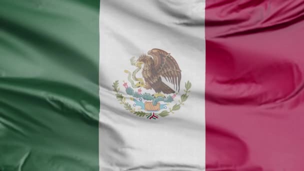 Bandera México Realista — Vídeo de stock