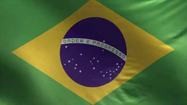 Bandera Brasil Loop — Vídeo de stock