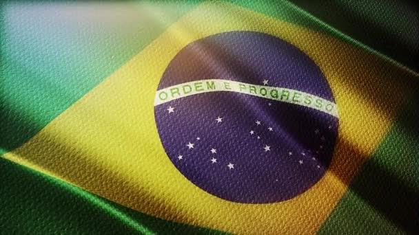 Vlag Van Brazilië Realistische — Stockvideo