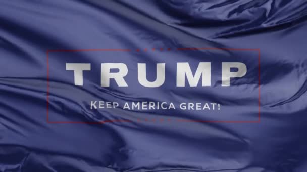Flagge Für Trumpf Amerika Groß Halten — Stockvideo