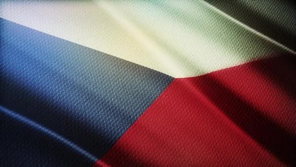 Flag of Czech Republic Realistic 3D — ストック動画