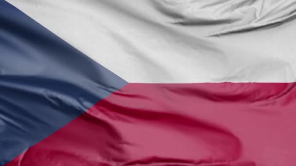 Bandiera della Repubblica Ceca Realistic 3D — Video Stock