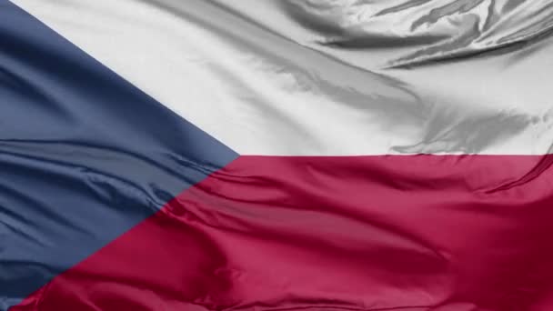 Bandera de República Checa Realista 3D — Vídeo de stock