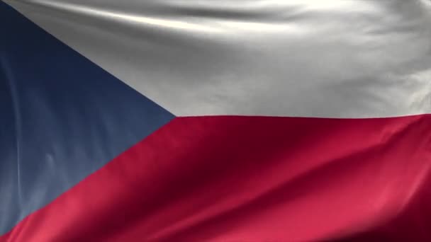 Çek Cumhuriyeti Bayrağı — Stok video