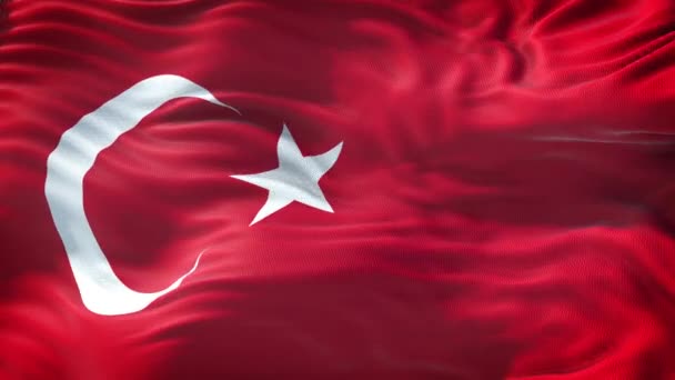 Turkiets flagga i Loop — Stockvideo