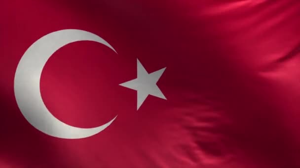 Vlag van Turkije in Loop — Stockvideo