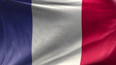 Fransa Bayrağı 3D Döngü