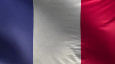 Fransa Bayrağı 3D Döngü