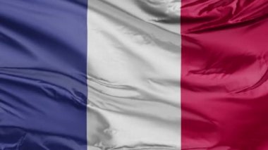 Fransa 'nın Gerçekçi Bayrağı 3D