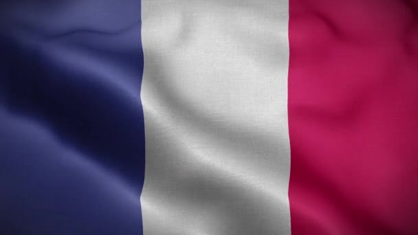 Flag France Loop — Stock Video