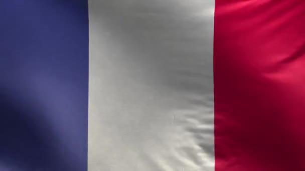 Σημαία Γαλλίας Loop — Αρχείο Βίντεο