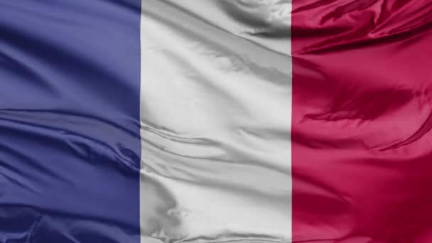 Реалістичний Прапор Франції — стокове відео